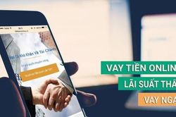 TPHCM thanh tra, giám sát hoạt động của các tổ chức tín dụng