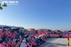Nghệ An: 1.000 công nhân ngừng việc tập thể đã đi làm trở lại