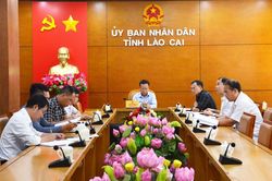 Đẩy mạnh triển khai thực hiện dự án 5 ''Hỗ trợ nhà ở cho hộ nghèo, hộ cận nghèo trên địa bàn các huyện nghèo''