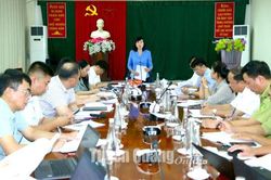 Na Hang cần thực hiện tốt công tác phát triển lâm nghiệp