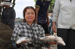 Hơi thở Môi trường 24h ngày 6/10: Người dân nghẹn ngào sau khi hơn 50 tấn cá lồng bè chết trắng