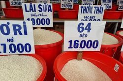 Indonesia mở thầu 500.000 tấn gạo: Cơ hội cho gạo Việt?