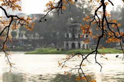 Thời tiết ngày 8/10: Bắc Bộ ngày nắng, Trung Bộ mưa dông, có nơi mưa to