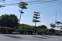 Dự báo thời tiết Hà Nội ngày 9/10: Trời nhiều nắng, không mưa; đêm nhiều mây, trời mát
