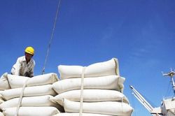 Lương thực Bình Định xin dừng trả cổ tức tỉ lệ 140%