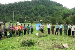 Hỗ trợ nông dân Nậm Chua trồng lạc, thâm canh lúa nước