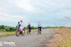 Xã hội hóa lĩnh vực văn hóa, thể thao và du lịch