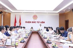 Tổ chức giải trình về y dược tư nhân, sử dụng đất bãi ven sông Hồng