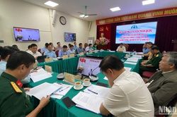 Tai nạn giao thông giảm nhưng chưa bền vững