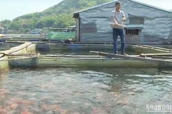 Đến năm 2025, tất cả các huyện có hồ chứa thủy điện tại Quảng Nam đều có mô hình sinh kế bền vững cho người dân