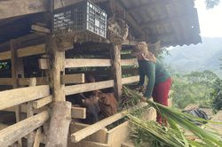 Huyện miền núi đa dạng giải pháp giảm nghèo bền vững