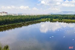 Khám phá hệ sinh thái đặc sắc trong nhà máy thép lớn nhất Việt Nam