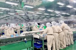 Vì sao KIDO nâng tỷ lệ sở hữu tại Thọ Phát Quốc Tế lên 68%?
