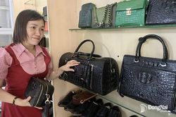 Trang trại nuôi, chế biến sản phẩm từ da cá sấu