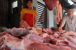 Giá heo hơi hôm nay 10/10: Dự báo giá sẽ ở dưới mức 60.000 đồng/kg cho đến giữa năm sau