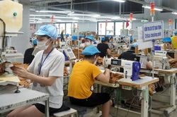 Giảm năm đóng bảo hiểm hưởng lương hưu: Giải pháp đảm bảo lưới an sinh