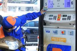 Giá xăng dầu hôm nay 11/10/2023: Cập nhật mức điều chỉnh