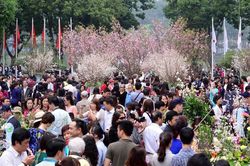 Lễ hội Hokkaido tại Hạ Long: Hội nhập văn hóa giàu bản sắc