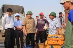 Quảng Trị nỗ lực chống khai thác IUU