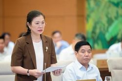 Sáp nhập huyện, xã: Cá biệt một số trường hợp còn nặng sắp xếp cơ học