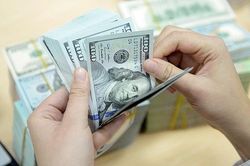 Tỷ giá ngoại tệ hôm nay 11/10: Đồng USD tiếp tục chuỗi ngày giảm