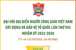 Đại hội đại biểu Người Công giáo Việt Nam xây dựng và bảo vệ Tổ quốc lần thứ VIII