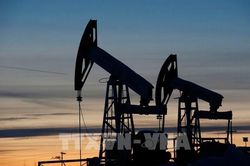 Giá dầu Brent sẽ ở mức 90-100 USD/thùng trong quý IV/2023