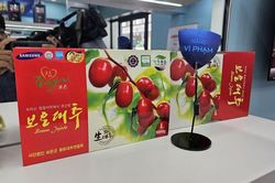 Táo đỏ Hàn Quốc bán tràn lan ở Việt Nam đa phần là hàng giả