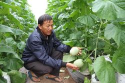 Gia Lai: Nhiều chỉ số tích cực tăng trưởng kinh tế 9 tháng đầu năm