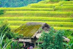 Kỳ 3: Những mái nhà rêu phong trên dãy Tây Côn Lĩnh