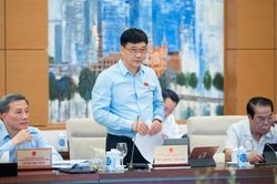 Cần làm rõ trách nhiệm việc ban hành giá FiT có đúng nguyên tắc và tiêu chí hay không