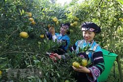 Bảo tồn, lan tỏa bản sắc văn hóa của các dân tộc rất ít người