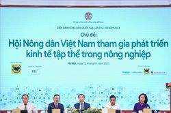 Nâng cao trình độ, năng lực các chủ thể tham gia kinh tế tập thể, hợp tác xã
