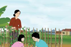 Giậu mồng tơi