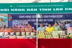 Lào Cai giới thiệu sản phẩm tại Hội chợ xúc tiến thương mại sản phẩm OCOP Cao Bằng