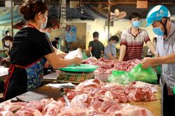 Giá heo hơi hôm nay 12/10: Đã có nơi xuống dưới mức 50.000 đồng/kg, nông dân thua lỗ