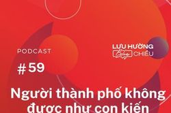 Người thành phố không được như con kiến