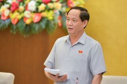 Phó Chủ tịch Quốc hội: Có lợi ích nhóm không khi có điện lại không thể hòa lưới?