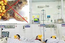 Ngộ độc thịt và trứng cóc, 3 mẹ con phải nhập viện cấp cứu