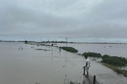 Cho học sinh 5 trường ở 'rốn lũ' Quảng Trị nghỉ học