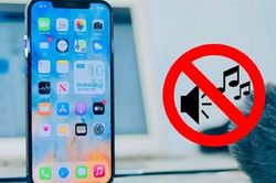 Cách khắc phục tình trạng lỗi loa trong của iPhone