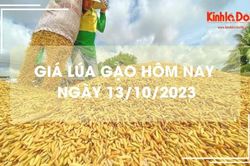 Giá lúa gạo hôm nay 13/10/2023: Duy trì đà tăng