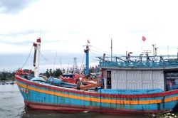 Đà Nẵng xử lý nghiêm các cá nhân, tổ chức vi phạm IUU