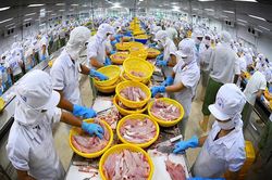 Giải 'bài toán' xây dựng thương hiệu Việt tại thị trường CPTPP