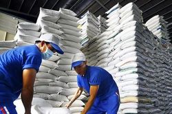 Bất ngờ về những thị trường lớn nhất nhập khẩu gạo Việt Nam