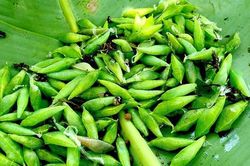 Lộc trời ẩn mình dưới lá muồng, xưa ai cũng sợ không dám ăn, giờ là đặc sản nổi tiếng cả vùng với giá 200.000 đồng/kg
