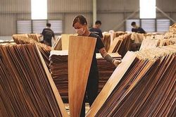 Doanh nghiệp ngành gỗ cần trang bị 'phao cứu sinh' trước 'làn sóng' điều tra phòng vệ thương mại