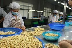 Algeria nới lỏng chính sách hạn chế nhập khẩu, cơ hội cho hàng Việt Nam