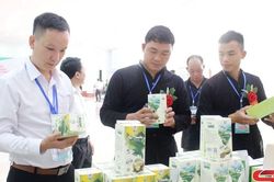 Kinh tế tập thể đóng góp tích cực vào sự phát triển KT-XH của tỉnh