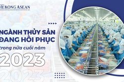 Ngành thủy sản đang hồi phục trong nửa cuối năm 2023